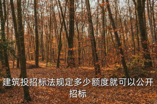 建筑投招標(biāo)法規(guī)定多少額度就可以公開招標(biāo)