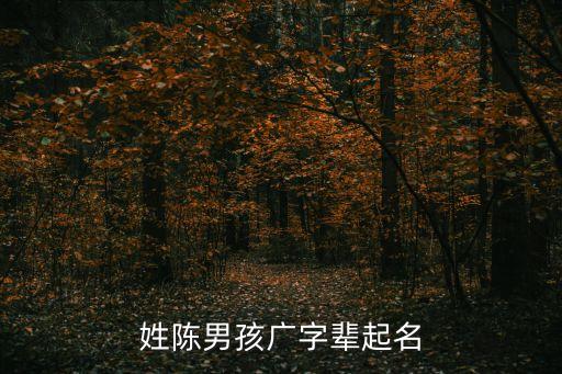 姓陳男孩廣字輩起名