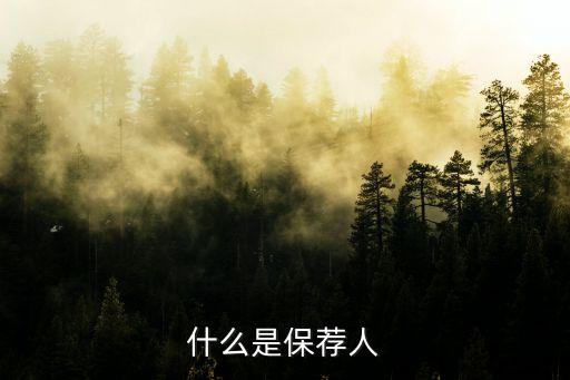 保薦，什么是保薦報(bào)告