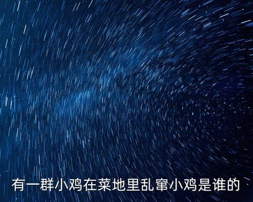 有一群小雞在菜地里亂竄小雞是誰(shuí)的