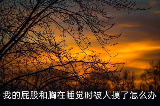 摸屁股摸胸，襲胸摸臀是什么意思