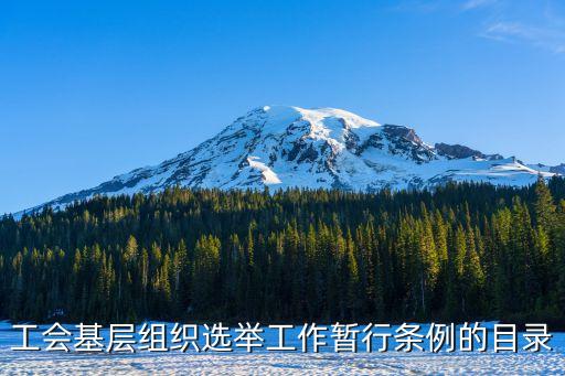 工會代表選舉辦法，基層工會會員代表可以實行等額選舉嗎