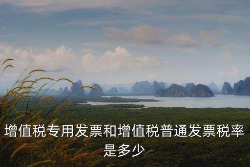 專票稅率，公司開專票的稅點是多少