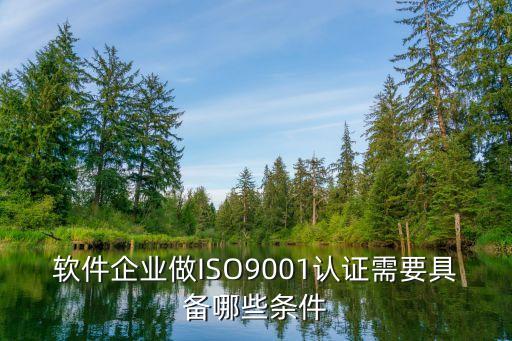 軟件企業(yè)認(rèn)定條件，創(chuàng)建一個軟件公司需要什么條件