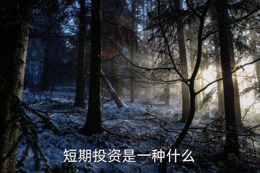 短期投資是一種什么