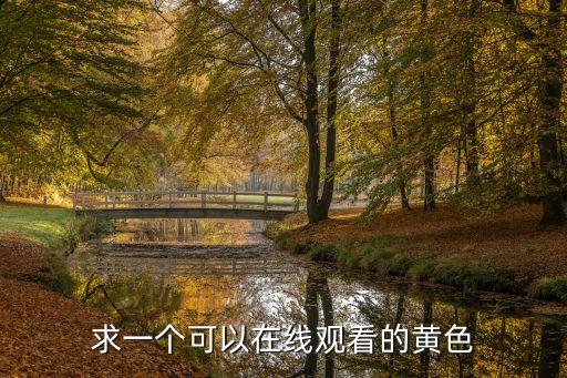 求一個可以在線觀看的黃色