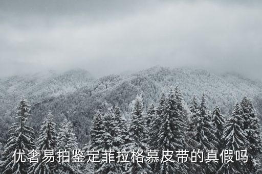 優(yōu)奢易拍，優(yōu)奢易拍鑒定菲拉格慕皮帶的真假嗎