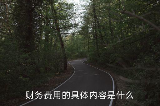 財(cái)務(wù)費(fèi)用的具體內(nèi)容是什么