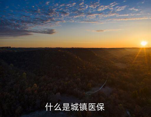 城鎮(zhèn)醫(yī)療保險，什么是城鎮(zhèn)醫(yī)保