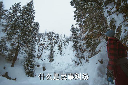 民事糾紛，什么叫民事糾紛