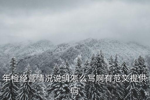 年檢經(jīng)營情況說明怎么寫啊有范文提供嗎