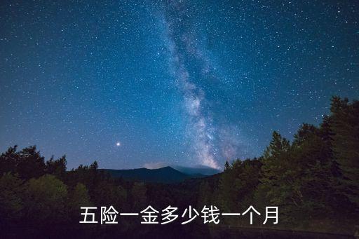 五險(xiǎn)一金自己交多少錢(qián)一個(gè)月，五險(xiǎn)一金個(gè)人交一月需多少錢(qián)謝謝