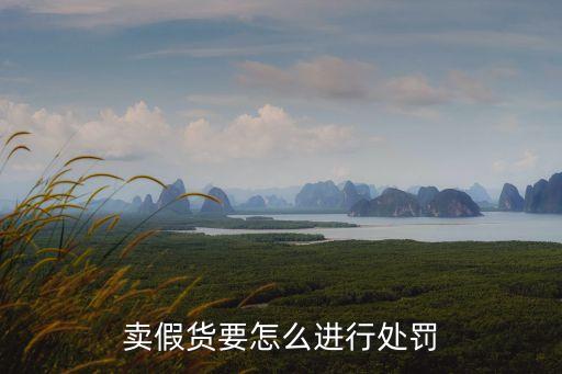 賣假貨的處罰標(biāo)準(zhǔn)，銷售假冒產(chǎn)品會如何處罰