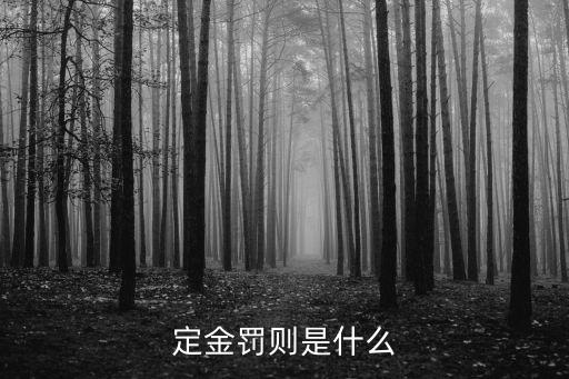 定金罰則是什么