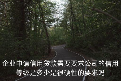 企業(yè)申請(qǐng)信用貸款需要要求公司的信用等級(jí)是多少是很硬性的要求嗎