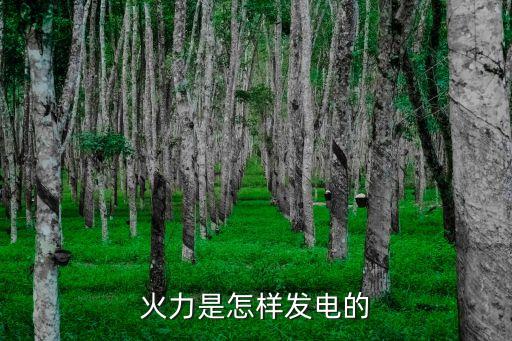 火力發(fā)電，火力發(fā)電原理