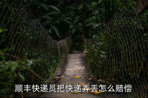 順豐快遞員把快遞弄丟怎么賠償
