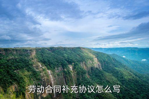 勞動合同補充協(xié)議怎么寫
