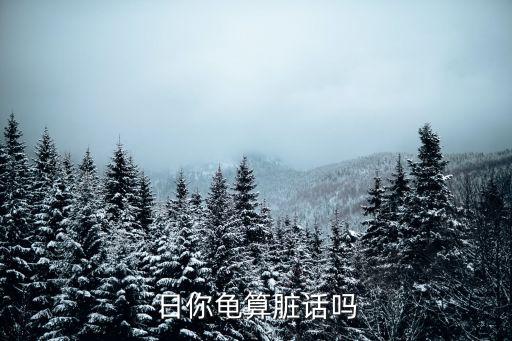 日你媽逼，日你龜算臟話嗎