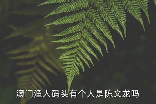 陳文龍，澳門漁人碼頭有個人是陳文龍嗎