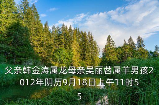 吳麗蓉，父親韓金濤屬龍母親吳麗蓉屬羊男孩2012年陰歷9月18日上午11時(shí)55