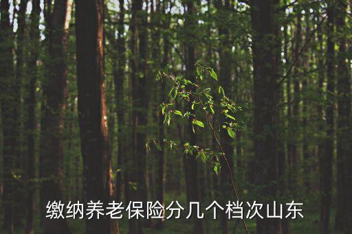 繳納養(yǎng)老保險(xiǎn)分幾個(gè)檔次山東