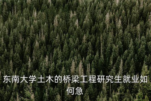 徐文平，東南大學(xué)土木的橋梁工程研究生就業(yè)如何急