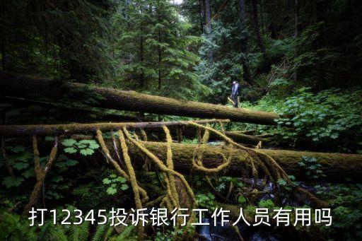 打12345投訴銀行工作人員有用嗎