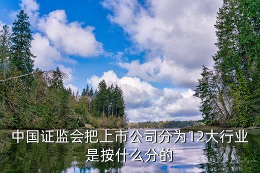 上市公司行業(yè)分類，中國證監(jiān)會把上市公司分為12大行業(yè)是按什么分的