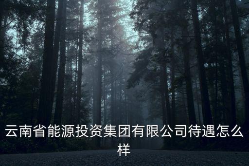 云南省能源投資集團(tuán)有限公司待遇怎么樣