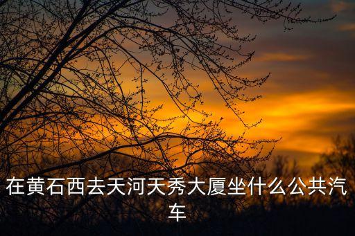 天秀大廈，在黃石西去天河天秀大廈坐什么公共汽車