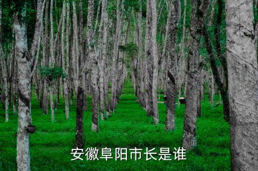 阜陽市長，阜陽市市長是誰