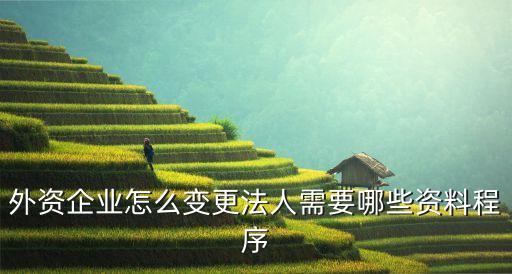 外資企業(yè)法人變更，公司是外商的怎么變更他的法定代表人要怎么做很急越具體越好