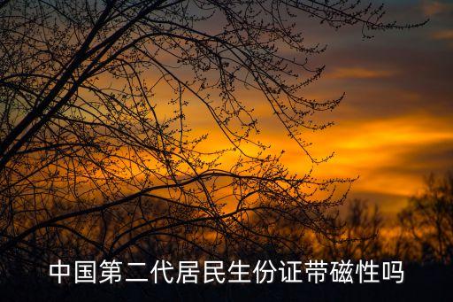 身份證有磁性嗎，中國第二代居民生份證帶磁性嗎