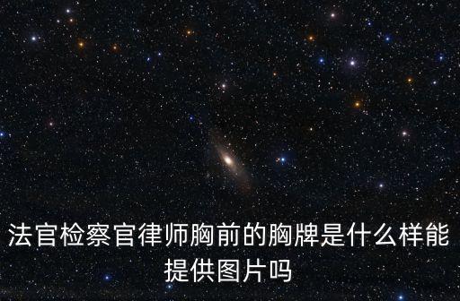 法官檢察官律師胸前的胸牌是什么樣能提供圖片嗎