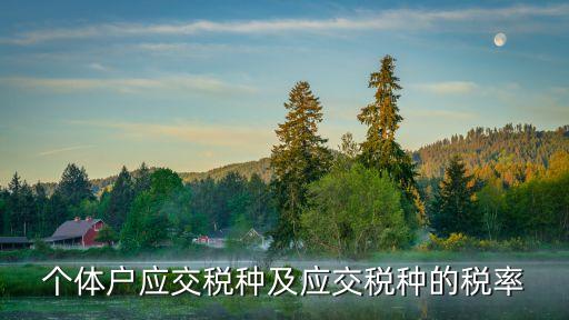 個體工商戶稅率，個體戶應(yīng)交稅種及應(yīng)交稅種的稅率