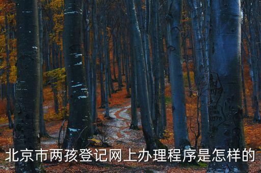 北京市兩孩登記網(wǎng)上辦理程序是怎樣的