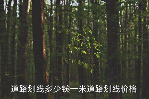 道路劃線多少錢一米道路劃線價(jià)格