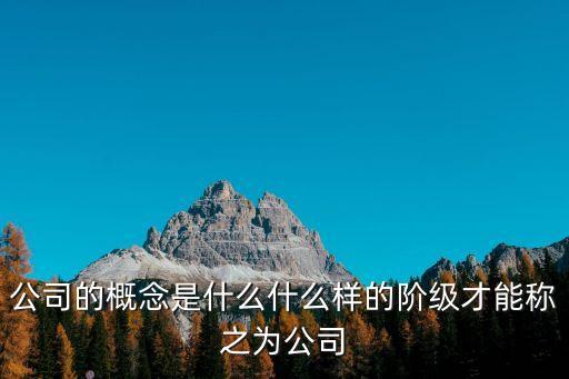 公司的概念是什么什么樣的階級才能稱之為公司