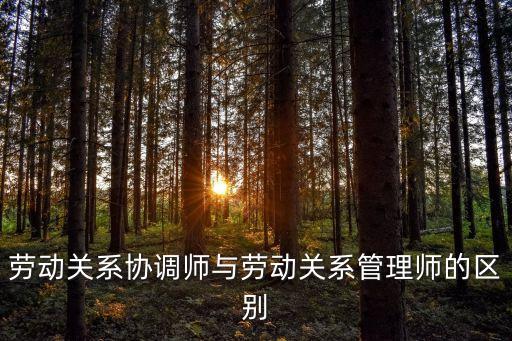 勞動關(guān)系協(xié)調(diào)師與勞動關(guān)系管理師的區(qū)別