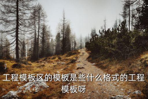 工程模板區(qū)的模板是些什么格式的工程模板呀