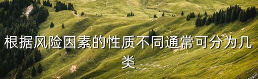 根據(jù)風(fēng)險因素的性質(zhì)不同通?？煞譃閹最? class=