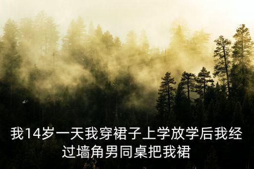 我14歲一天我穿裙子上學(xué)放學(xué)后我經(jīng)過(guò)墻角男同桌把我裙