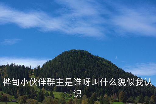樺甸小伙伴群主是誰呀叫什么貌似我認(rèn)識
