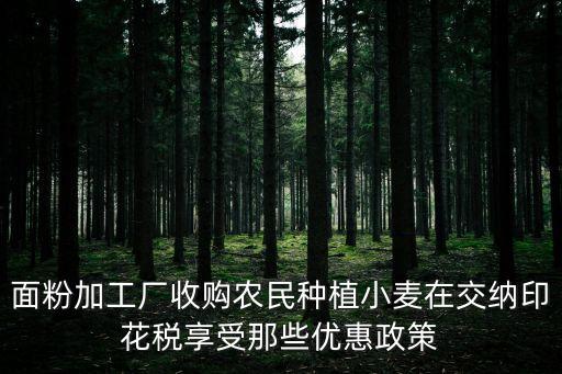 面粉加工廠收購農(nóng)民種植小麥在交納印花稅享受那些優(yōu)惠政策