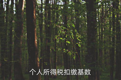 個(gè)稅基數(shù)，個(gè)人所得稅的納稅基數(shù)是什么
