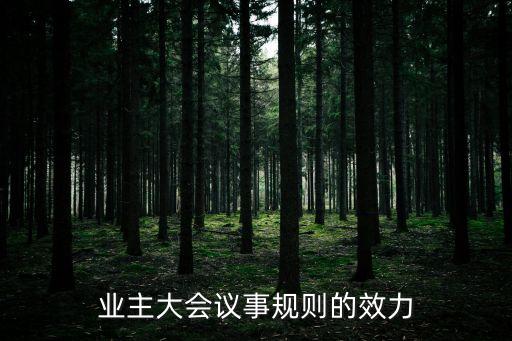 業(yè)主大會(huì)議事規(guī)則的效力