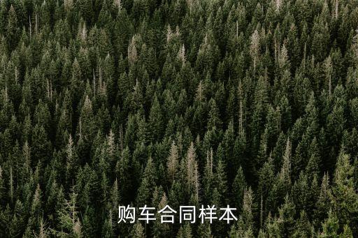 汽車買賣合同，購車合同樣本