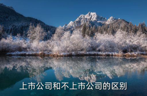 上市公司和非上市公司的區(qū)別，上市公司和不上市公司的區(qū)別