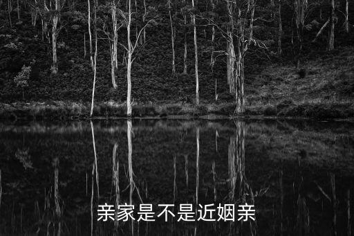 親家是不是近姻親